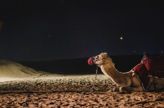 Top 5 Must-Visit Destinations in Dubai for First-Time Travelers